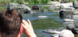 Rogue River Rafting - Oregon Rafting - Bears