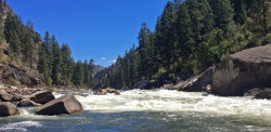 Idaho Salmon - Rafting the River of No Return