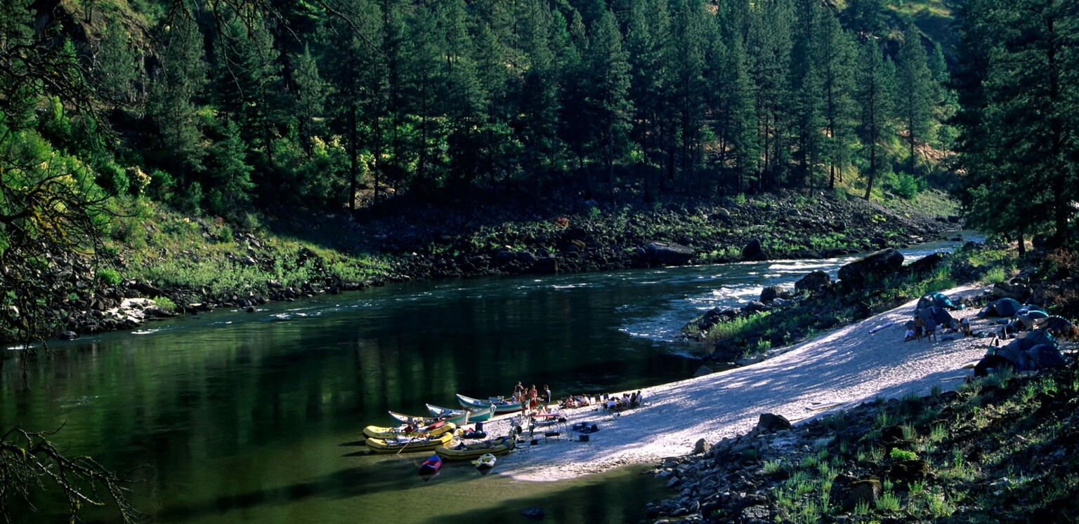 Idaho Salmon Rafting the River of No Return Momentum River Expeditions