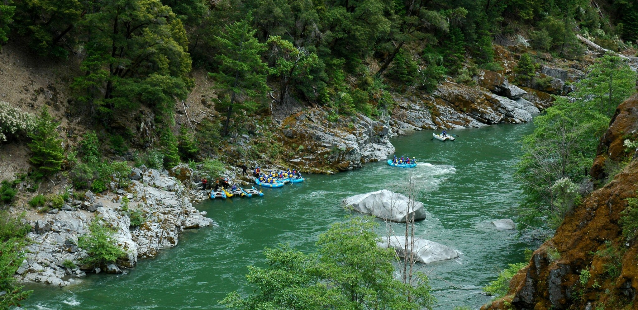 California Salmon Rafting Safari Momentum River Expeditions