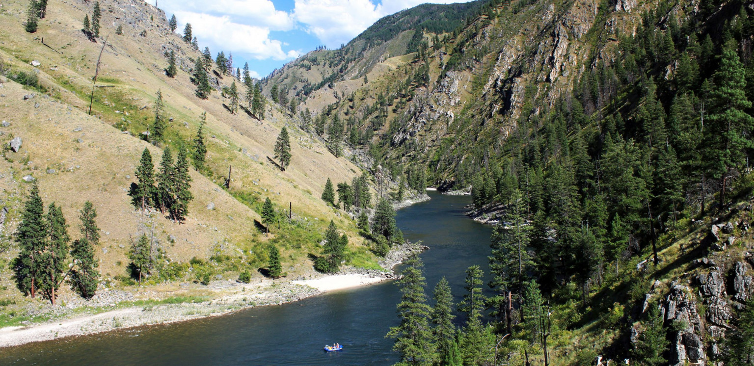 Idaho Salmon Rafting the River of No Return Momentum River Expeditions
