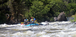 Upper Klamath River - Ambush Rapid - Rafting