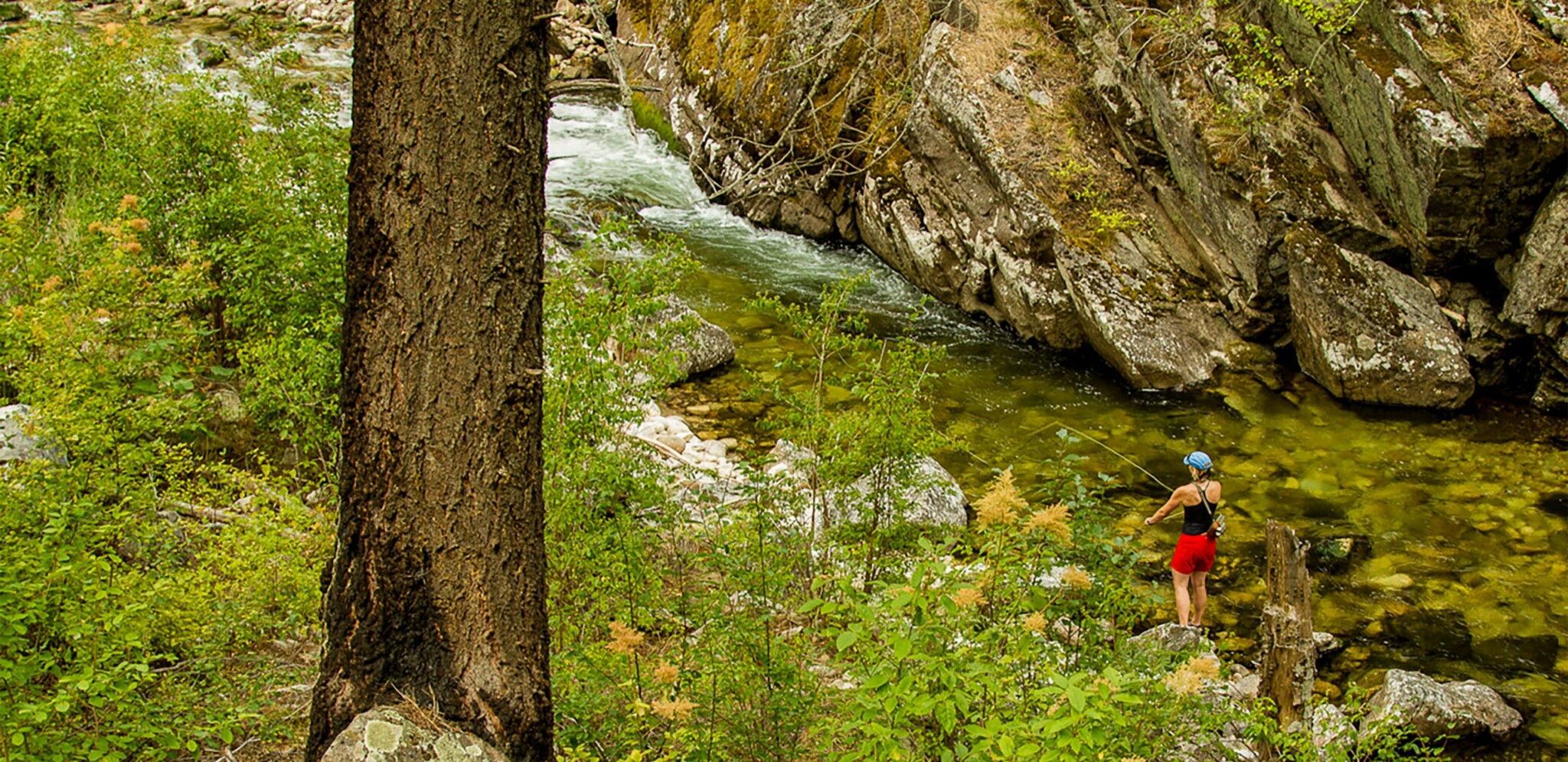 Idaho Salmon DeRiemer Kayaking Trip DeRiemer Adventure Kayaking Trips