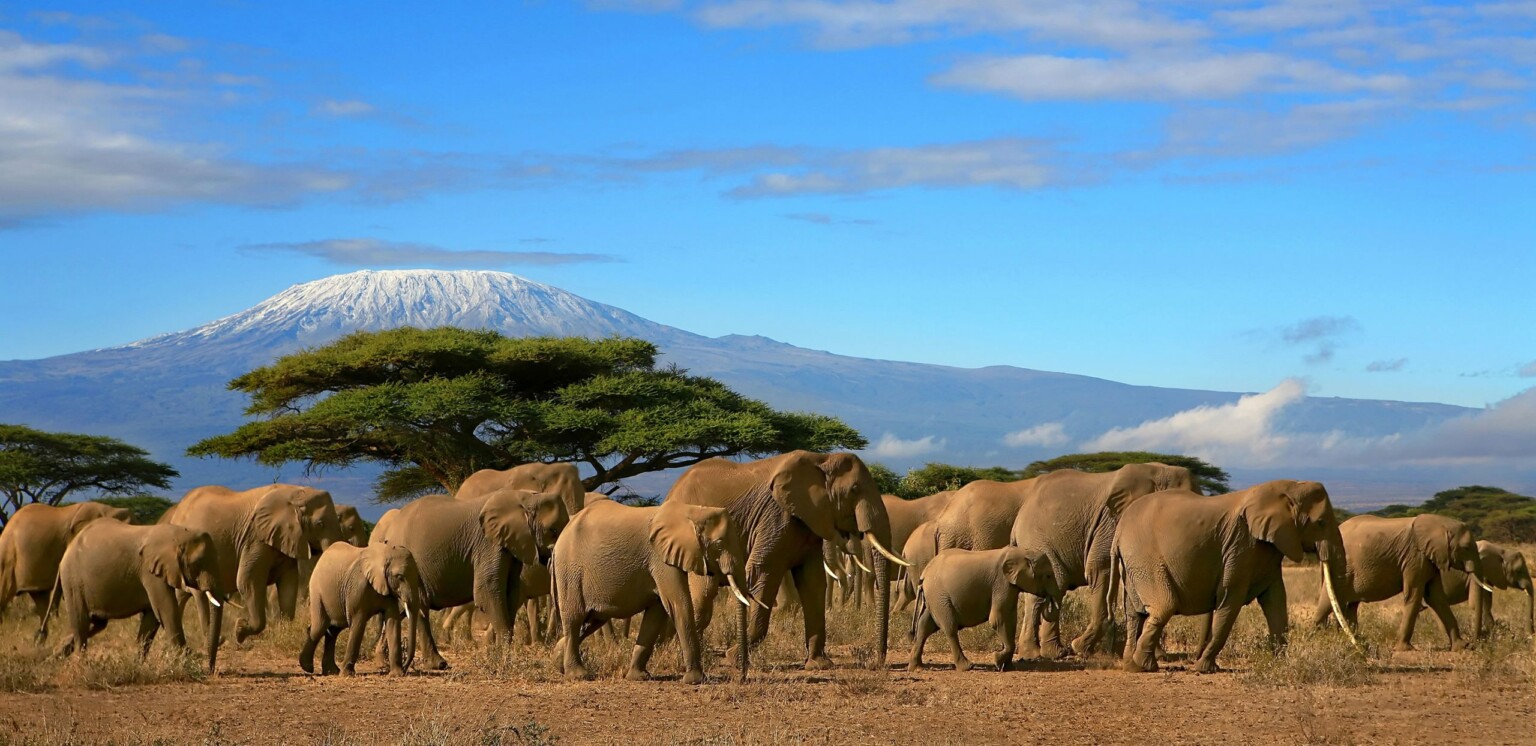 Mount Kilimanjaro Climb | Momentum River Expeditions