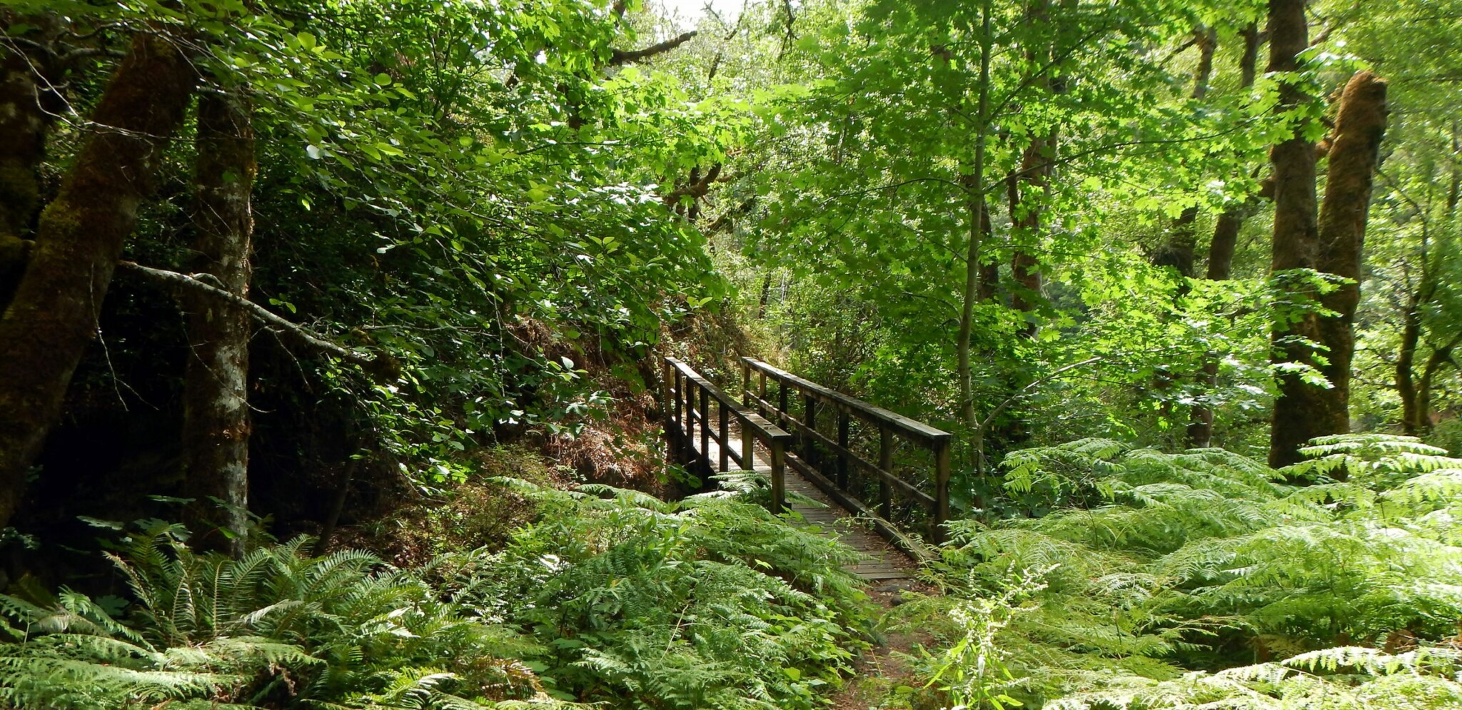 Rogue River Trail Hiking | Momentum River Expeditions