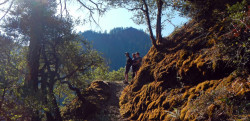 Rogue River hiking Trips - view from the trail