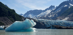 Tatshenshini River Rafting Alaska - Walker Glacier and Iceberg. Photo: Erik Meldrum