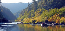 Rogue River Fishing Trips - Fly Fishing - Drift Boat