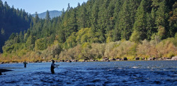 Rogue River Fly Fishing Trips