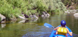 Black Bear - Rogue River Rafting