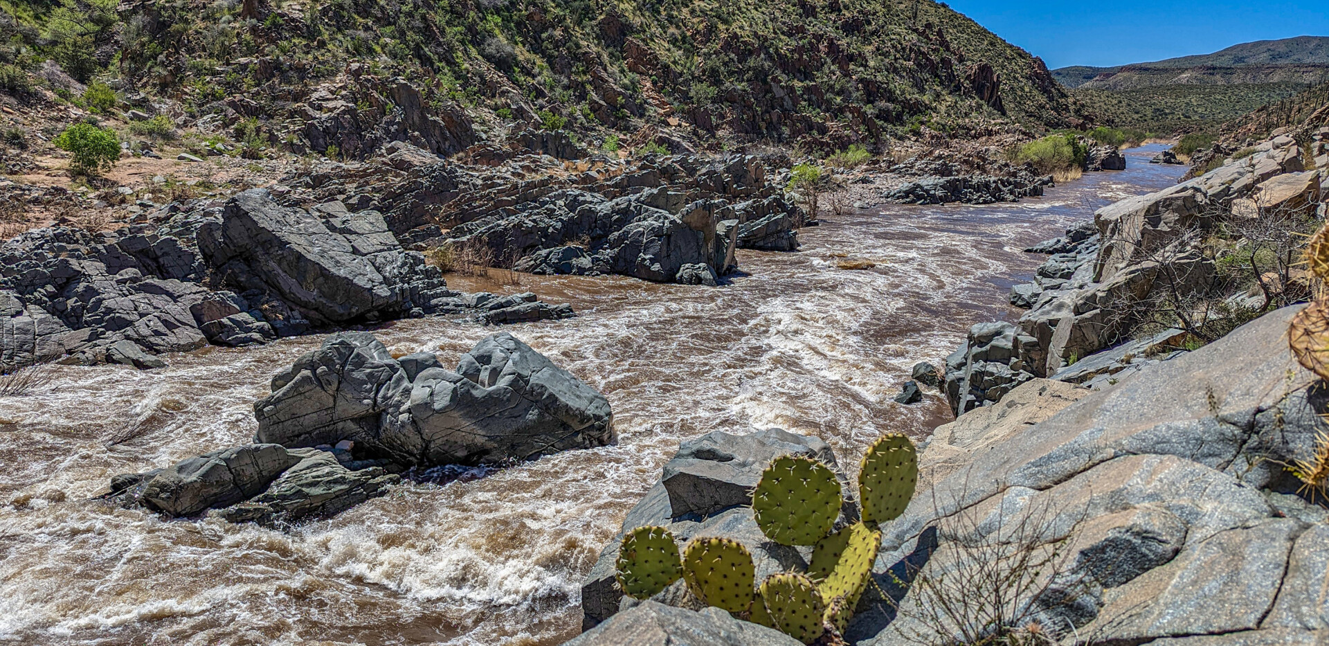 Salt River Rafting - whitewater and cactus - Photo: Pete Wallstrom