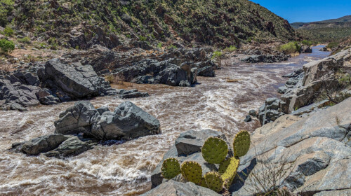 Salt River Rafting - whitewater and cactus - Photo: Pete Wallstrom